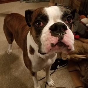 Meet your Posher, Dylan